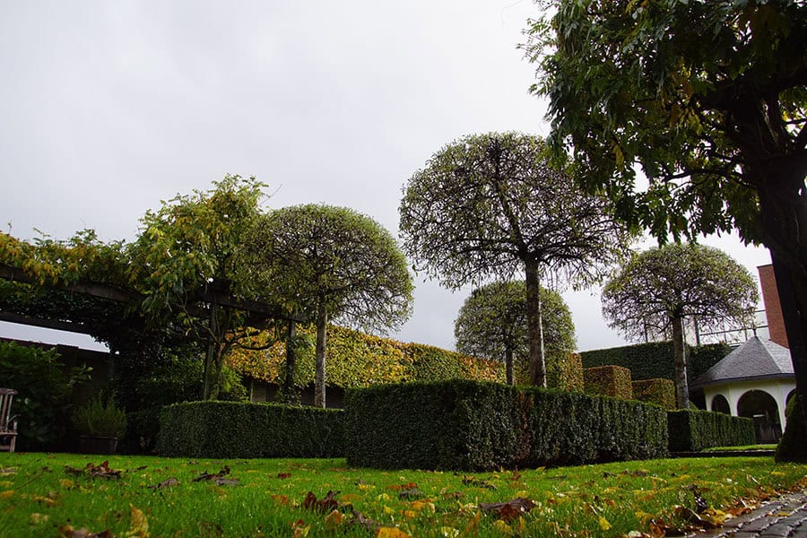 Formele Achtertuin 1