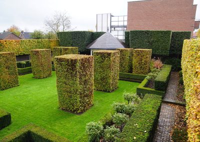 Formele Achtertuin 8