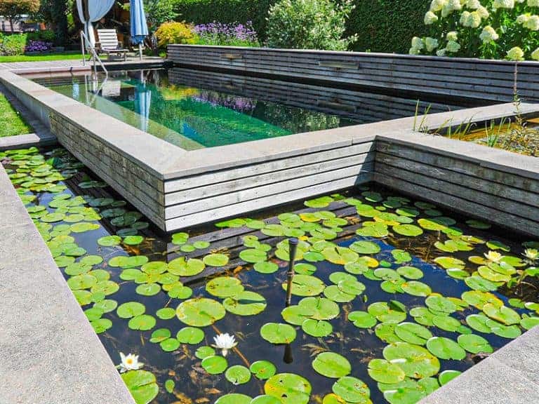 Hydrobalance-Naturpool-5